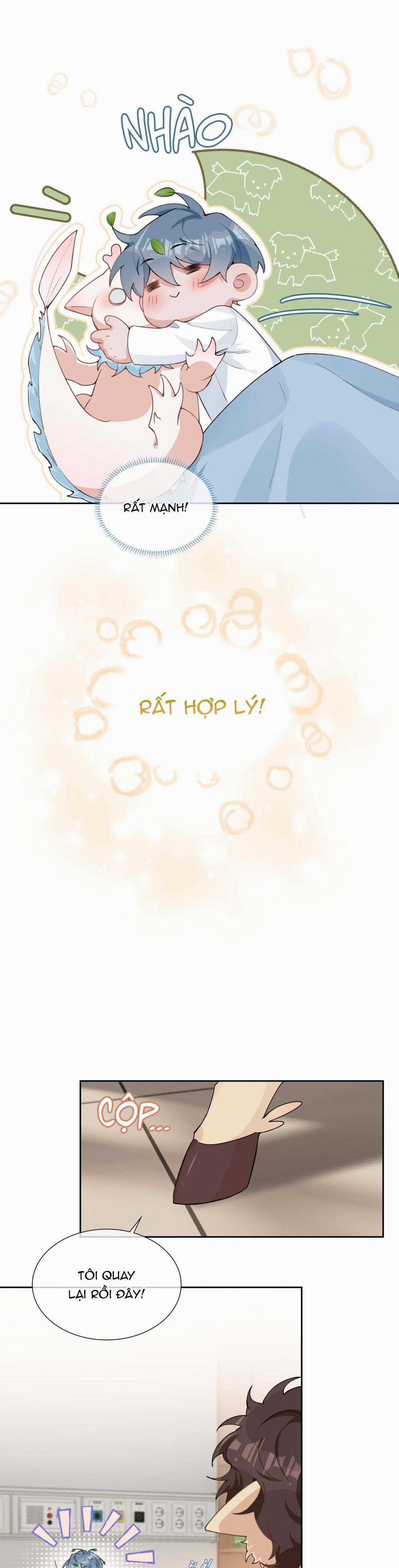 Trường Cấp Ba Sơn Hải 95 trang 8