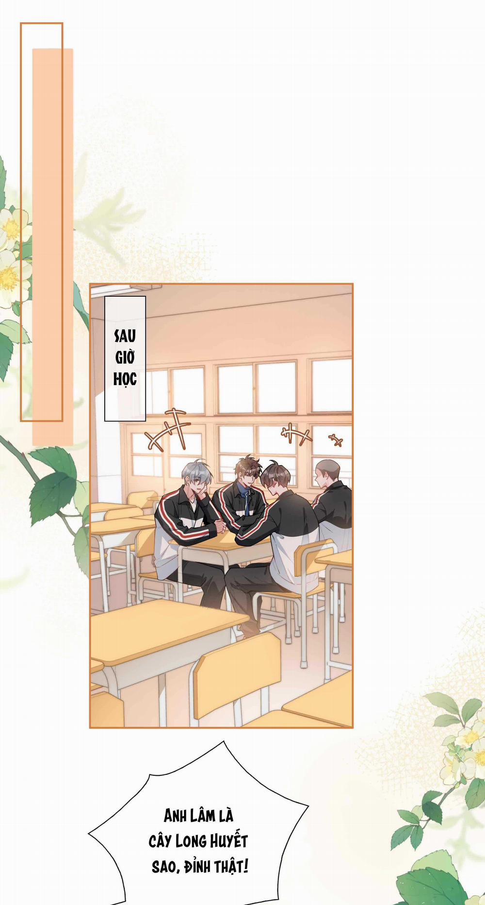 Trường Cấp Ba Sơn Hải 96 trang 5