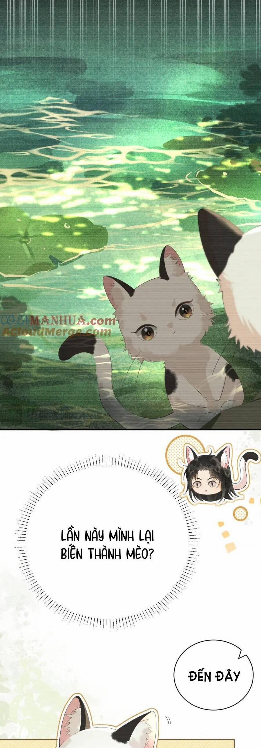 Trường Nguyệt Vô Tần 22 trang 12