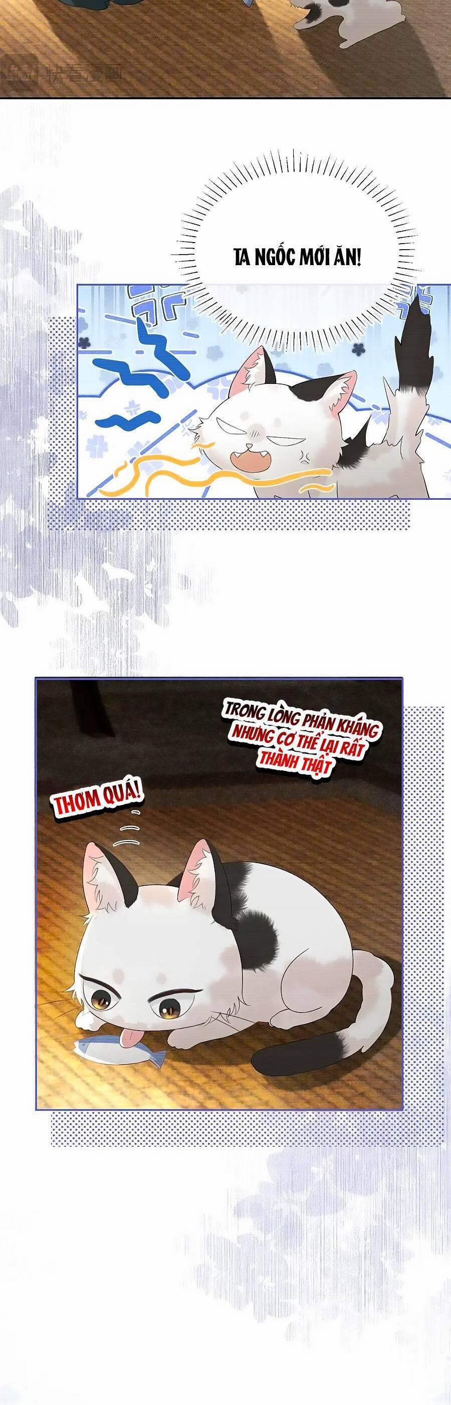 Trường Nguyệt Vô Tần 23 trang 10