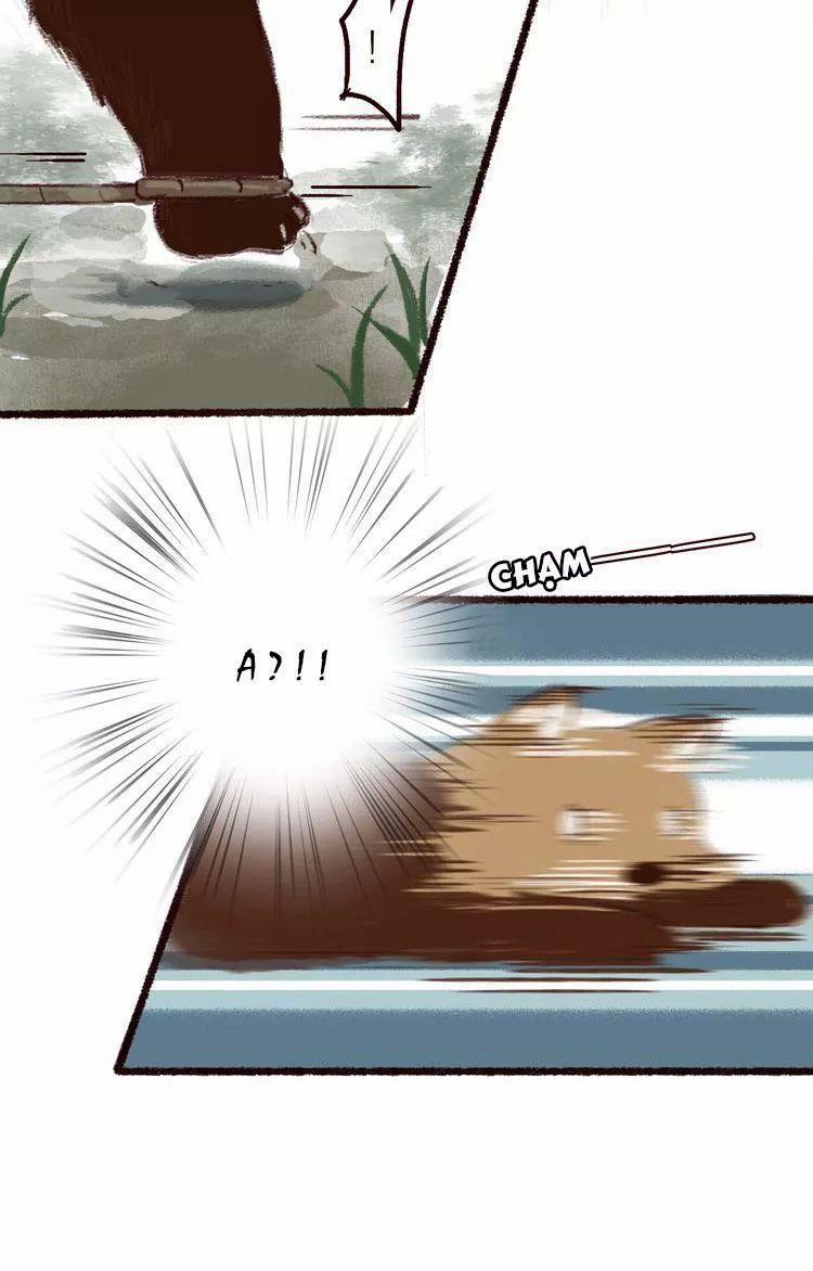 Trường Phong Quyển 5 trang 28