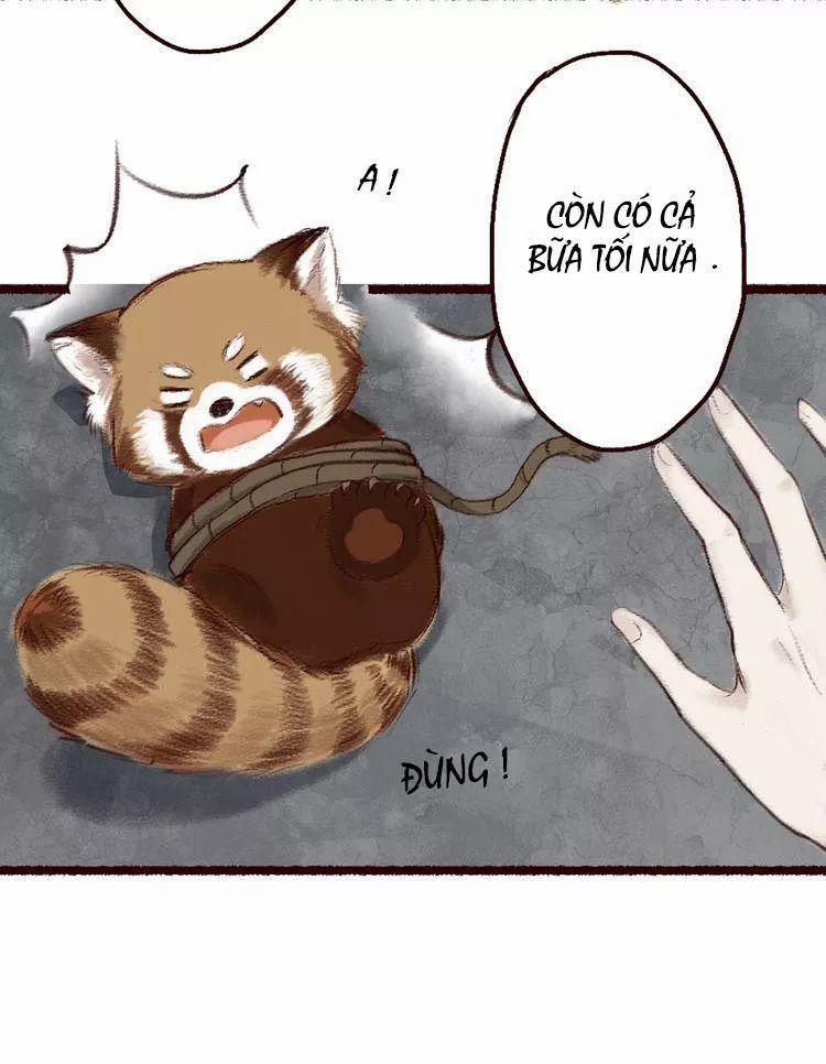 Trường Phong Quyển 5 trang 41