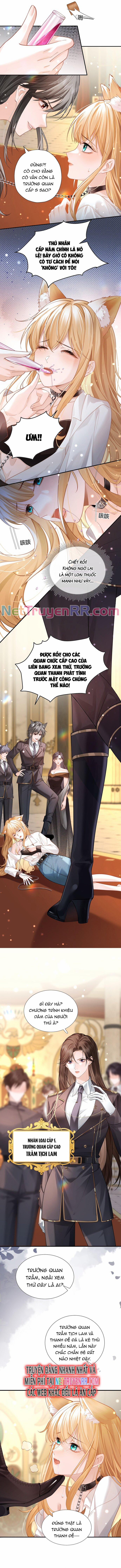 Trưởng Quan, Đuôi Của Cô Bị Lộ Rồi Kìa 1 trang 1