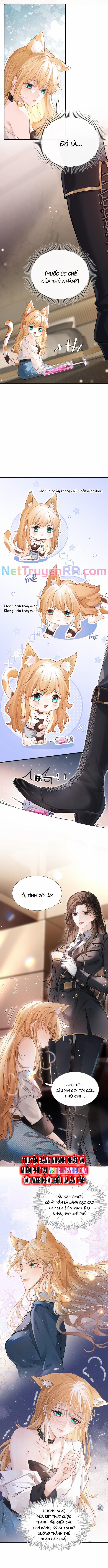 Trưởng Quan, Đuôi Của Cô Bị Lộ Rồi Kìa 1 trang 4