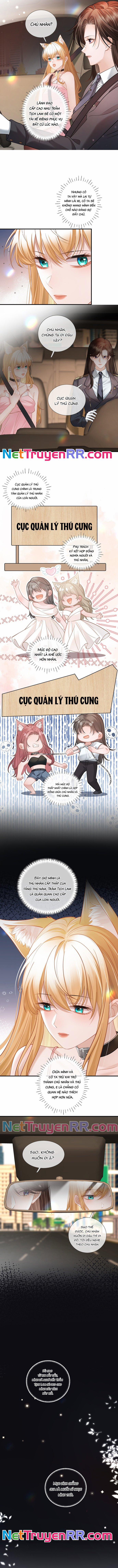 Trưởng Quan, Đuôi Của Cô Bị Lộ Rồi Kìa 10 trang 3