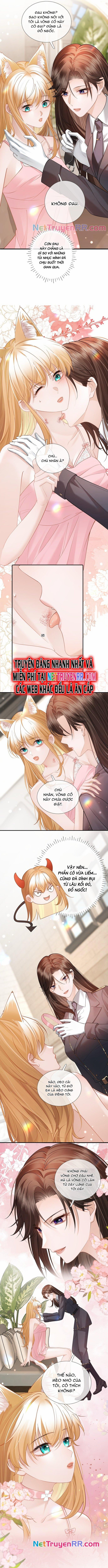 Trưởng Quan, Đuôi Của Cô Bị Lộ Rồi Kìa 11 trang 3