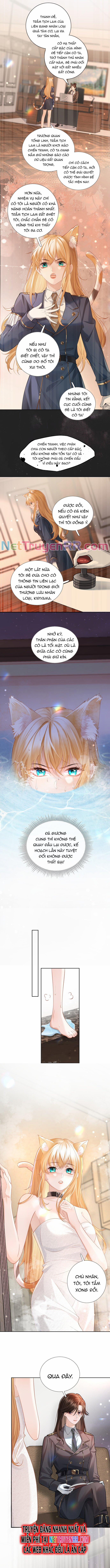 Trưởng Quan, Đuôi Của Cô Bị Lộ Rồi Kìa 2 trang 2