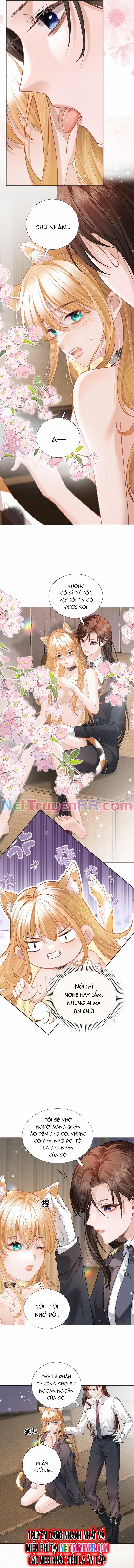 Trưởng Quan, Đuôi Của Cô Bị Lộ Rồi Kìa 3 trang 1