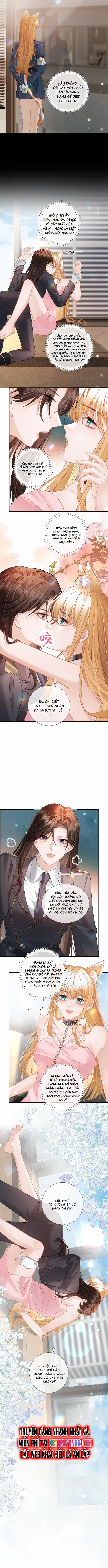 Trưởng Quan, Đuôi Của Cô Bị Lộ Rồi Kìa 9 trang 3