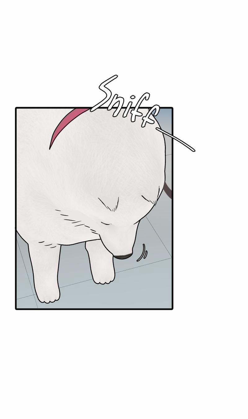 Truyện Ngôn Nhưng Không Ngôn Lắm 69 trang 73