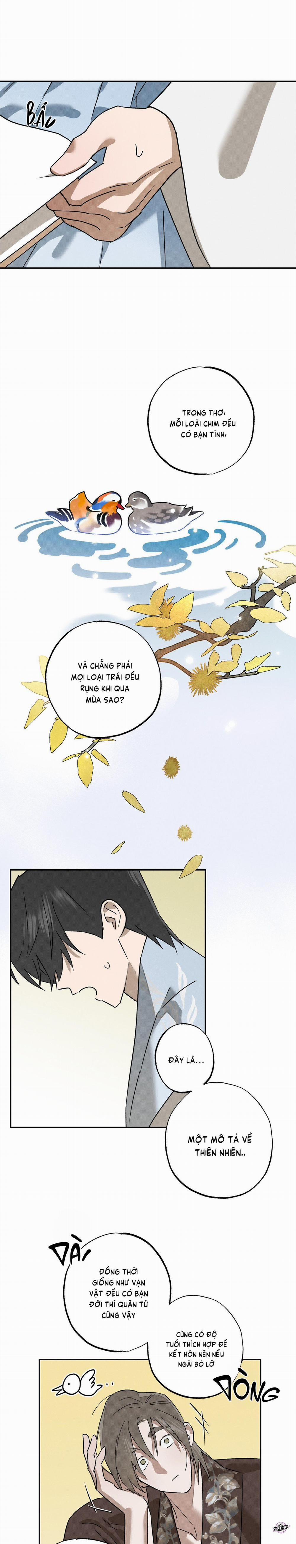 Truyện Về Trăng Và Bạc 10 trang 11