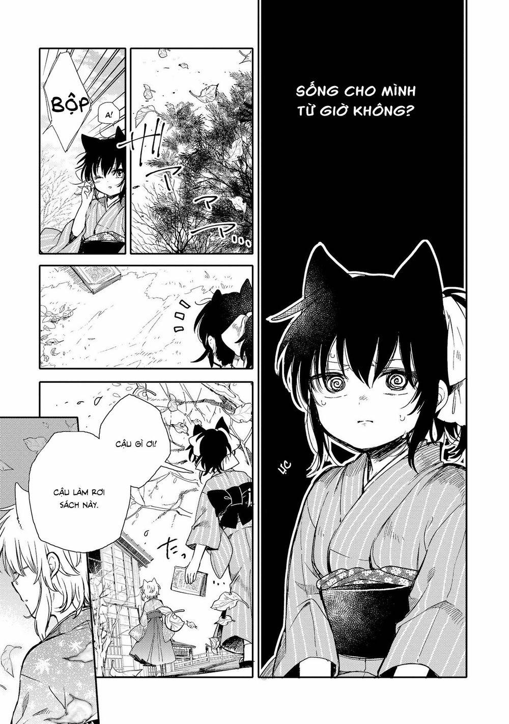 Tsuki Ga Kirei Desu Ne 12 trang 11