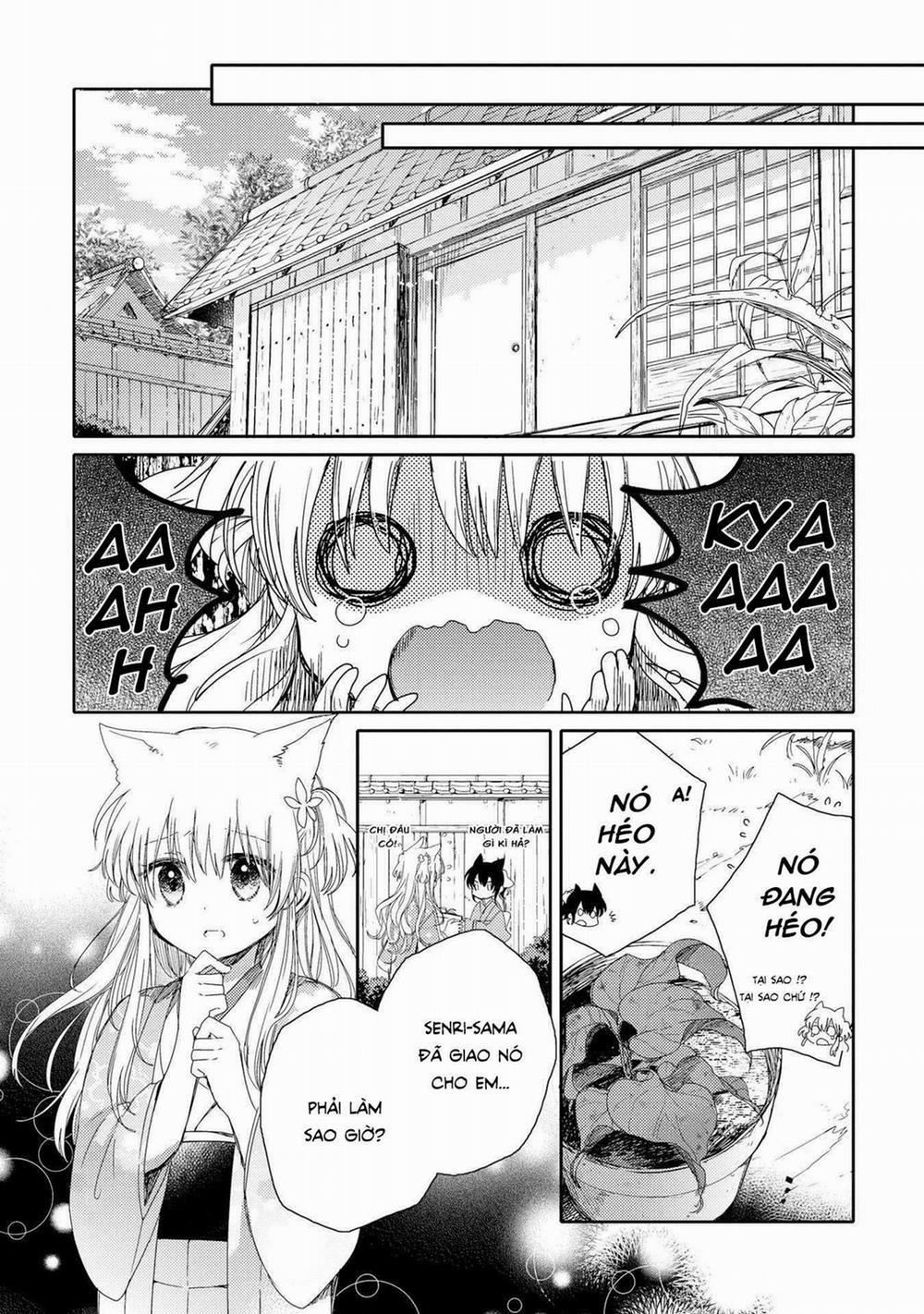 Tsuki Ga Kirei Desu Ne 3 trang 23