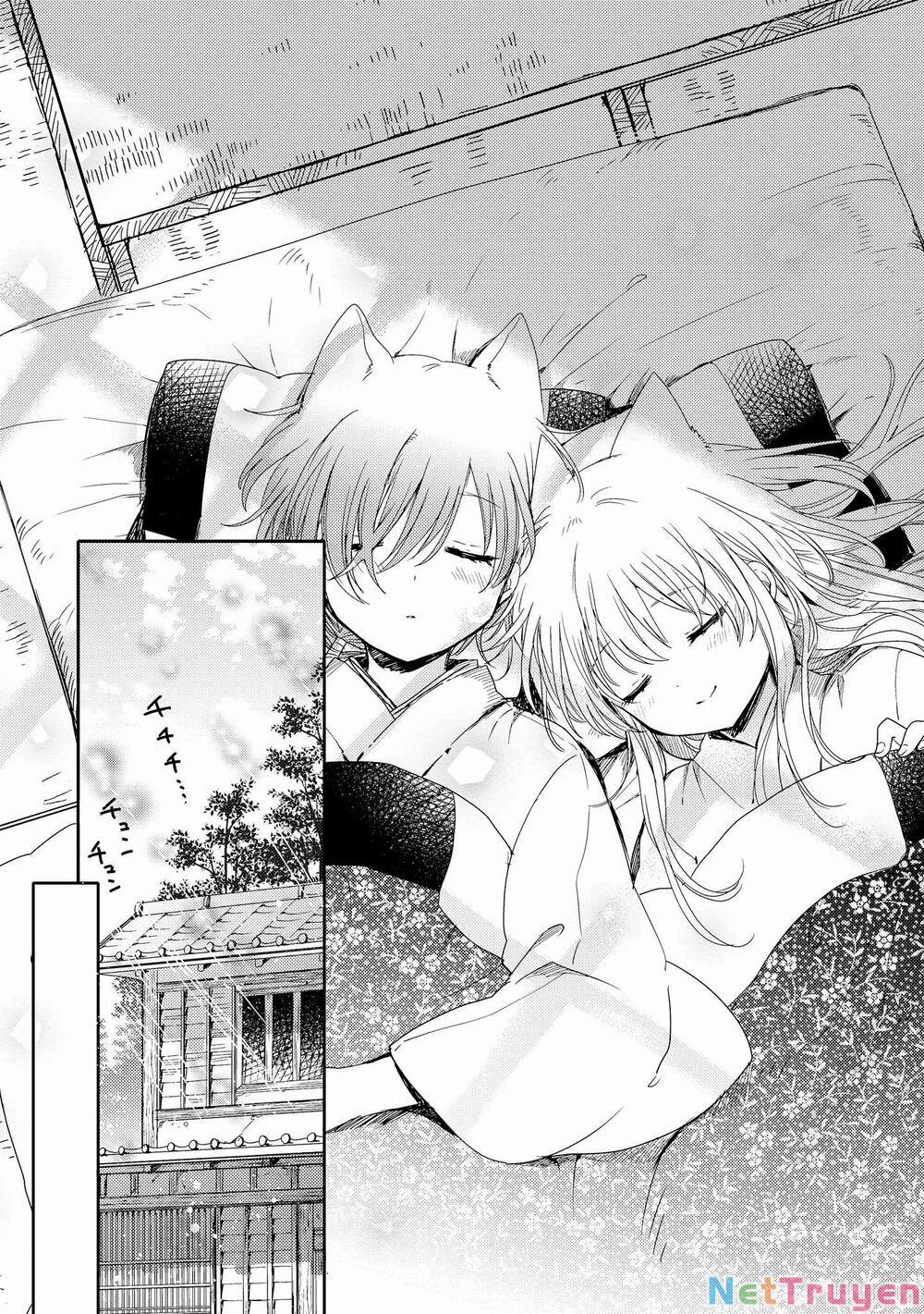 Tsuki Ga Kirei Desu Ne 6 trang 37