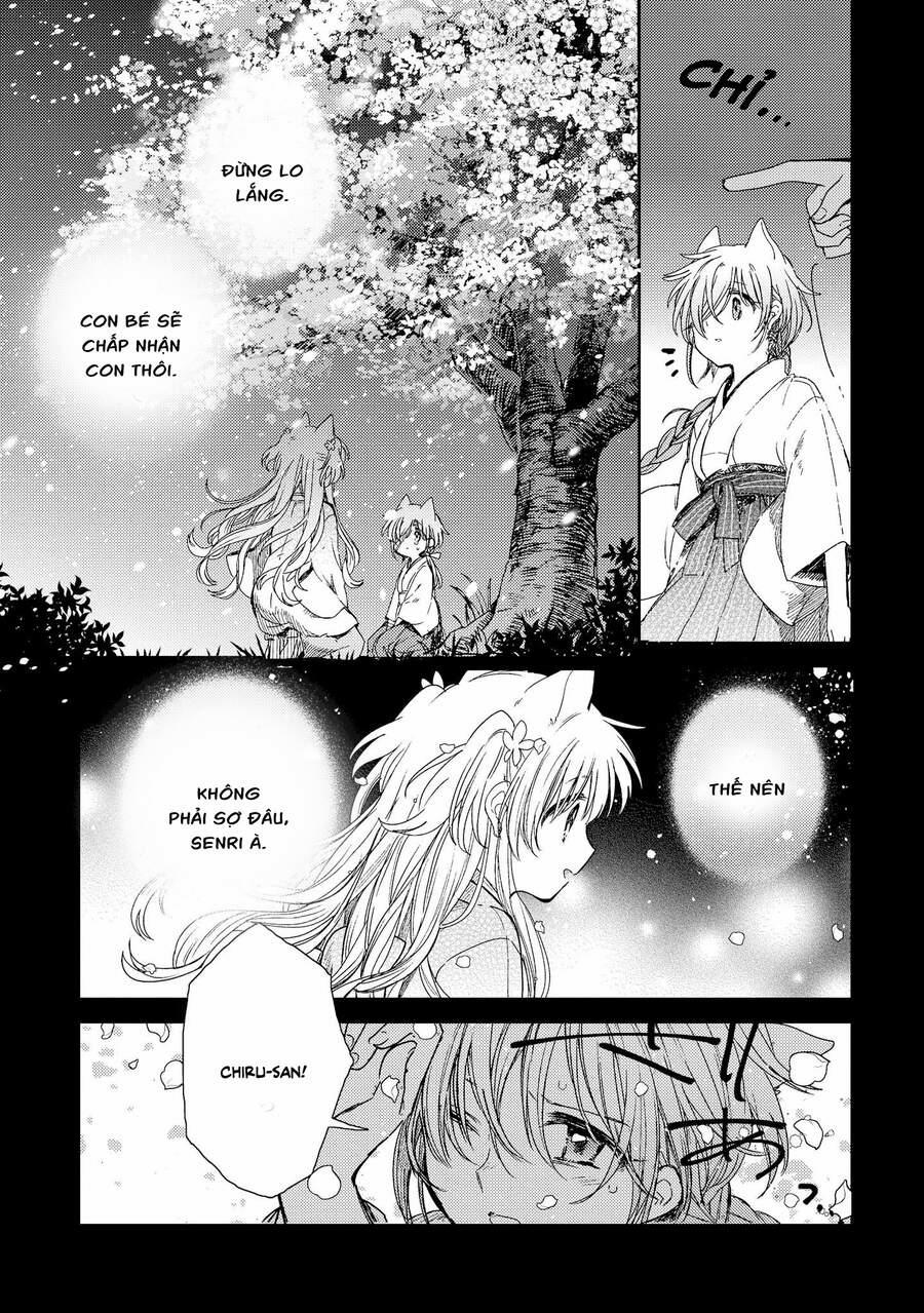 Tsuki Ga Kirei Desu Ne 8 trang 33