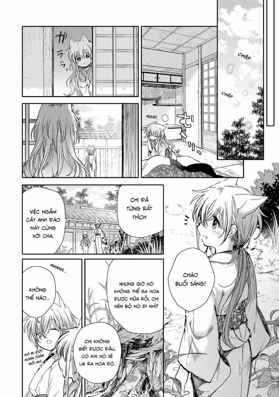 Tsuki Ga Kirei Desu Ne 8 trang 48