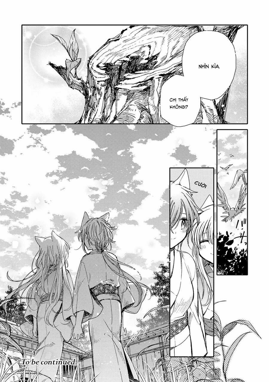 Tsuki Ga Kirei Desu Ne 8 trang 49