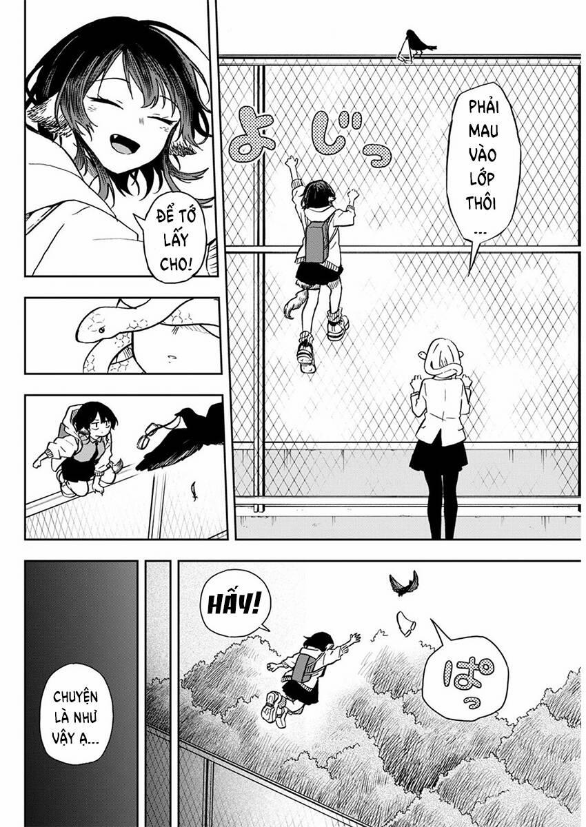 Tsumiki Ogami & The Strange Everyday Life. 9 trang 4