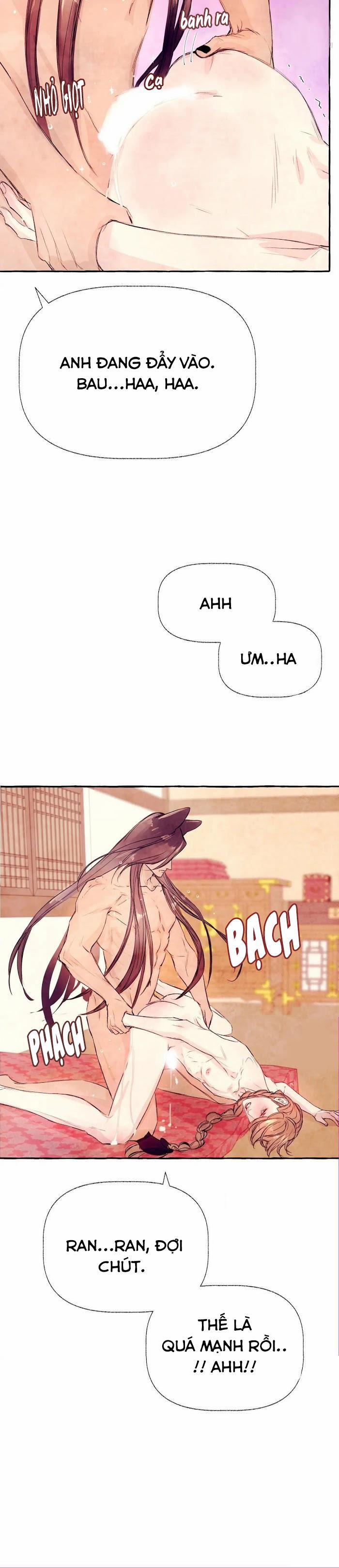 TTHN 15 nt1 trang 13