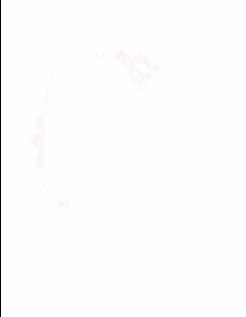 Từ Ác Nữ Tôi Phải Làm Mẹ 13 trang 18