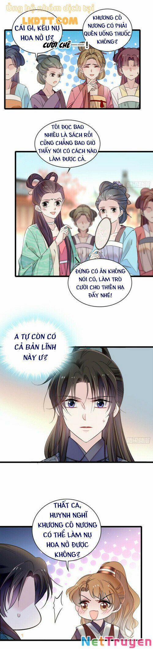 Tự Cẩm 12.5 trang 11