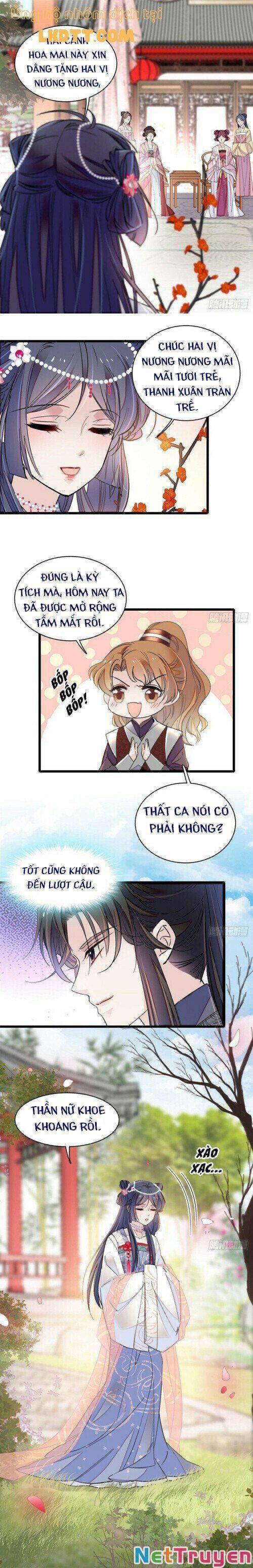 Tự Cẩm 12.6 trang 1