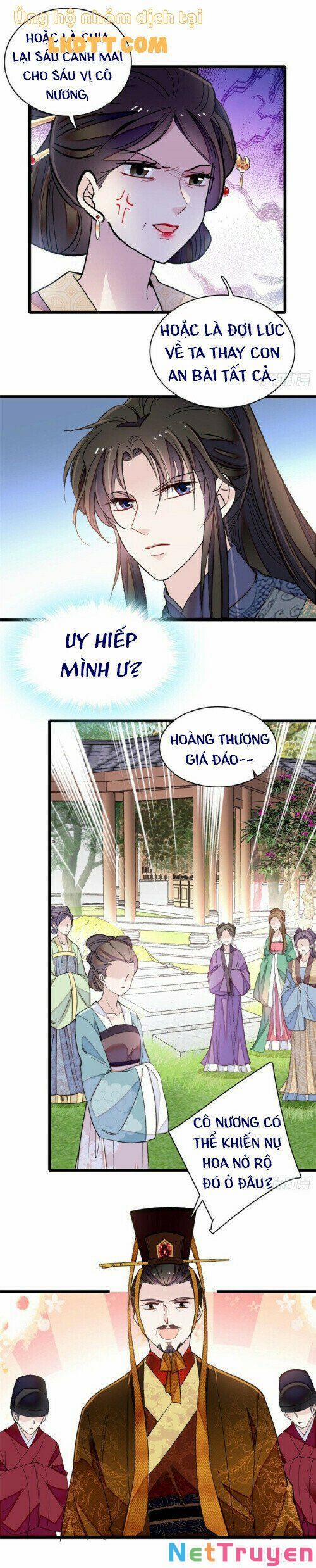 Tự Cẩm 12.6 trang 13