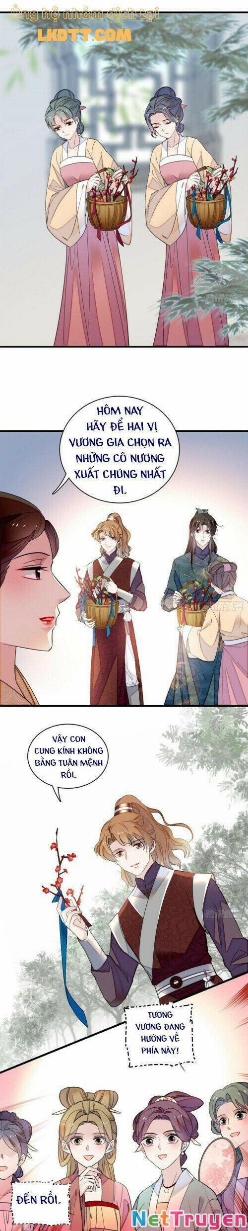 Tự Cẩm 12.6 trang 7