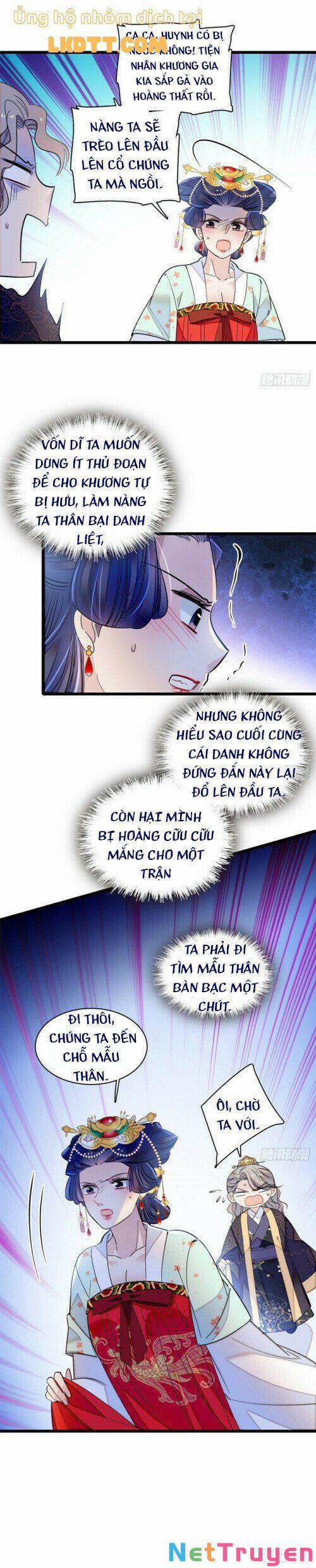 Tự Cẩm 12.8 trang 6