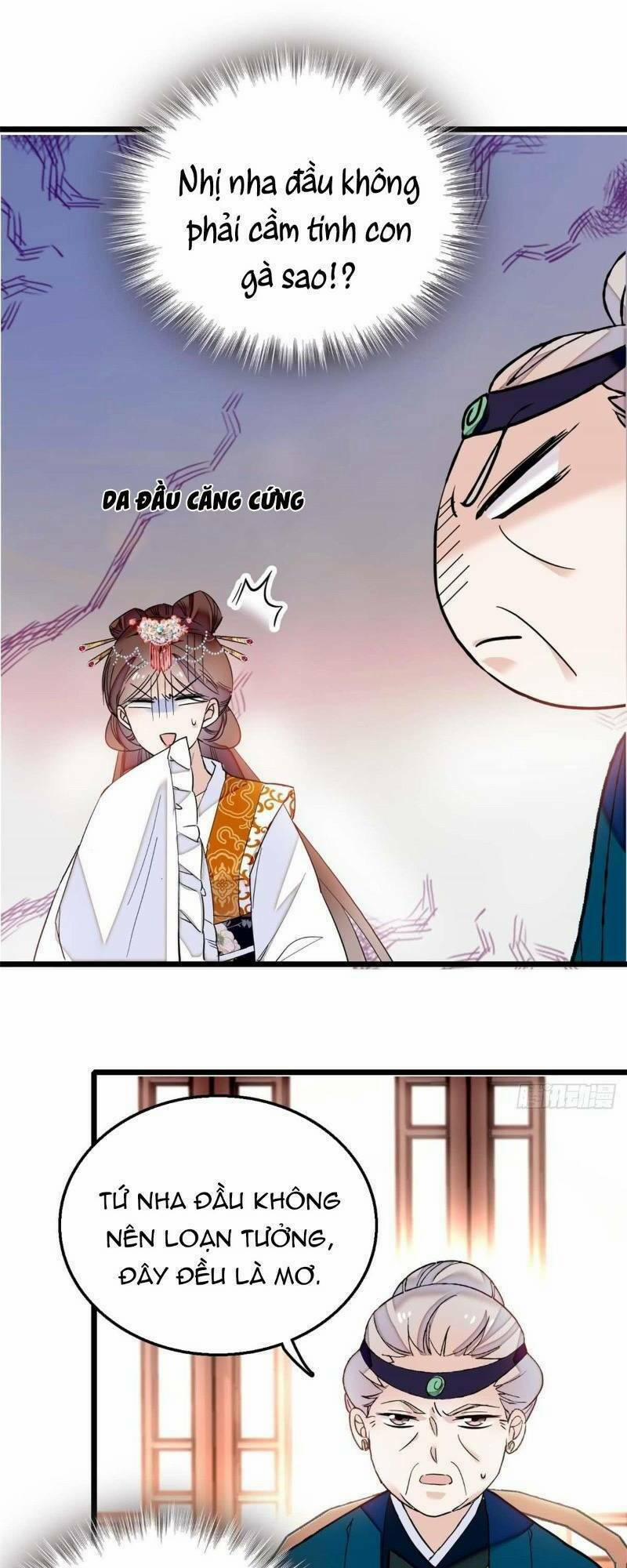 Tự Cẩm 13 trang 22