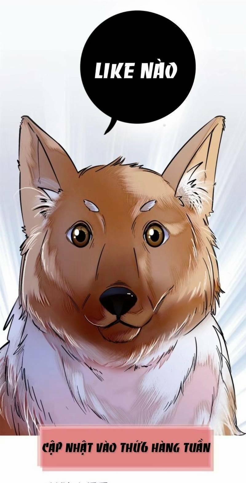 Tự Cẩm 13 trang 30