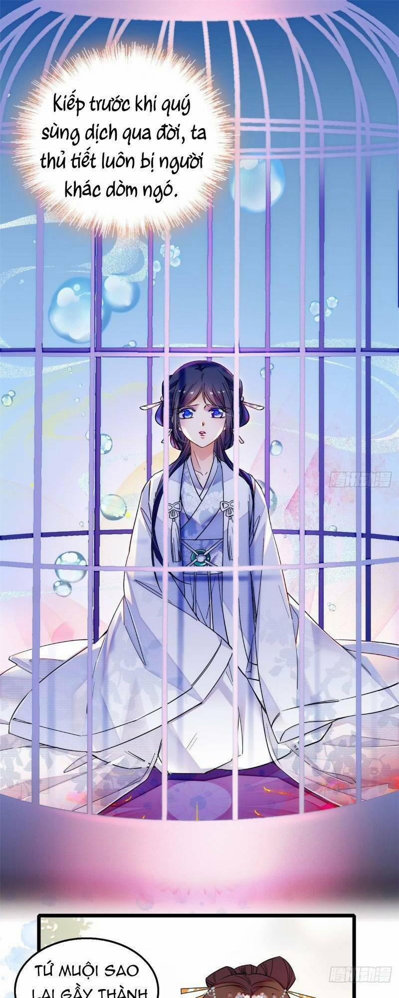 Tự Cẩm 14 trang 0