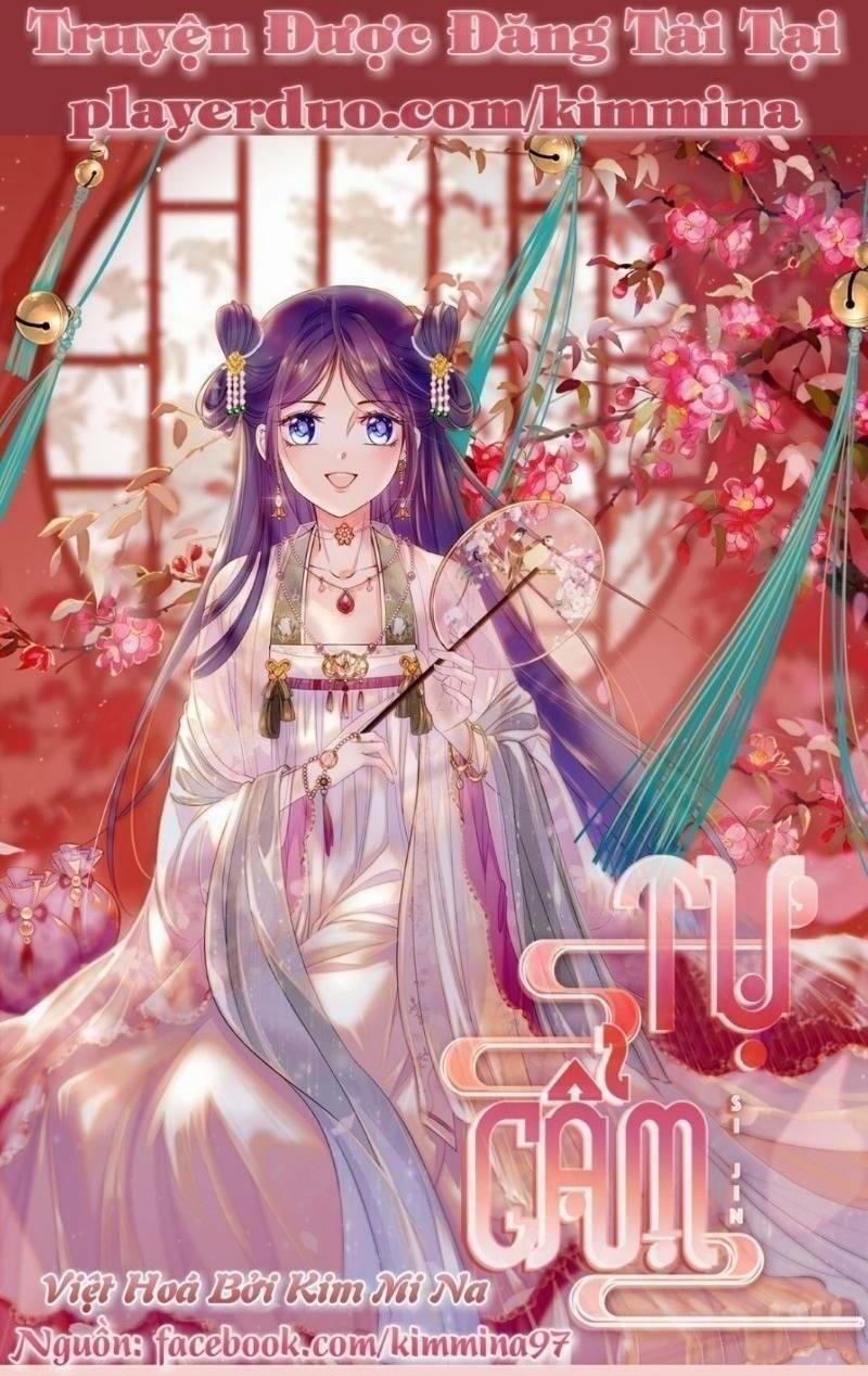 Tự Cẩm 16 trang 0