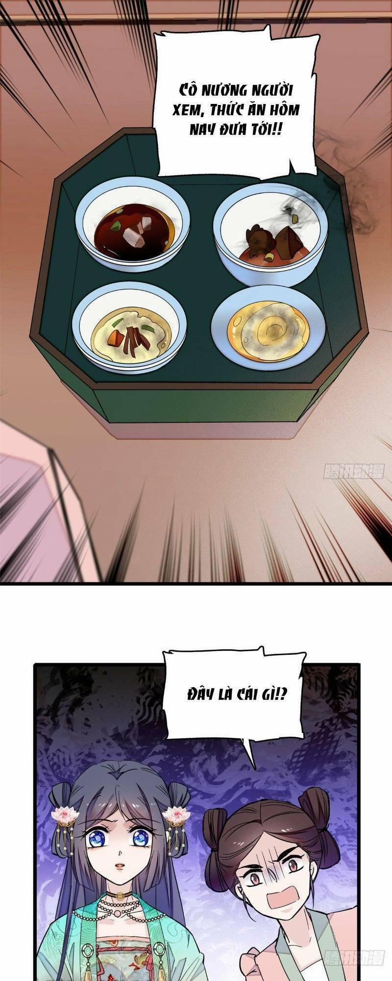 Tự Cẩm 17 trang 0