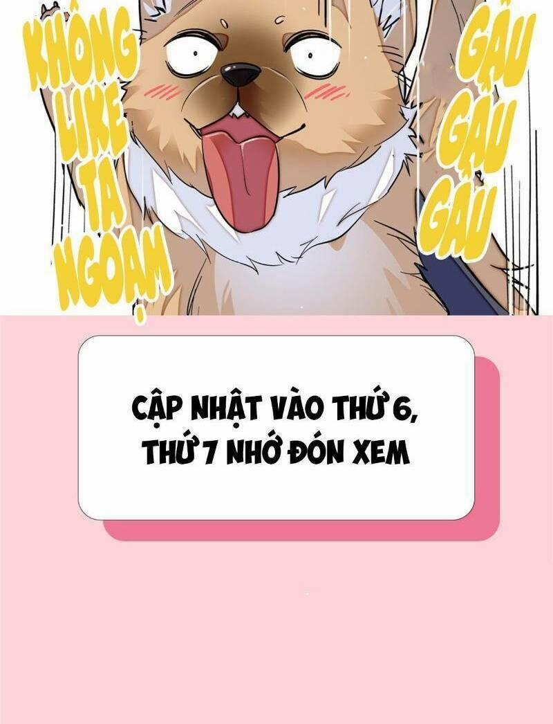 Tự Cẩm 17 trang 25