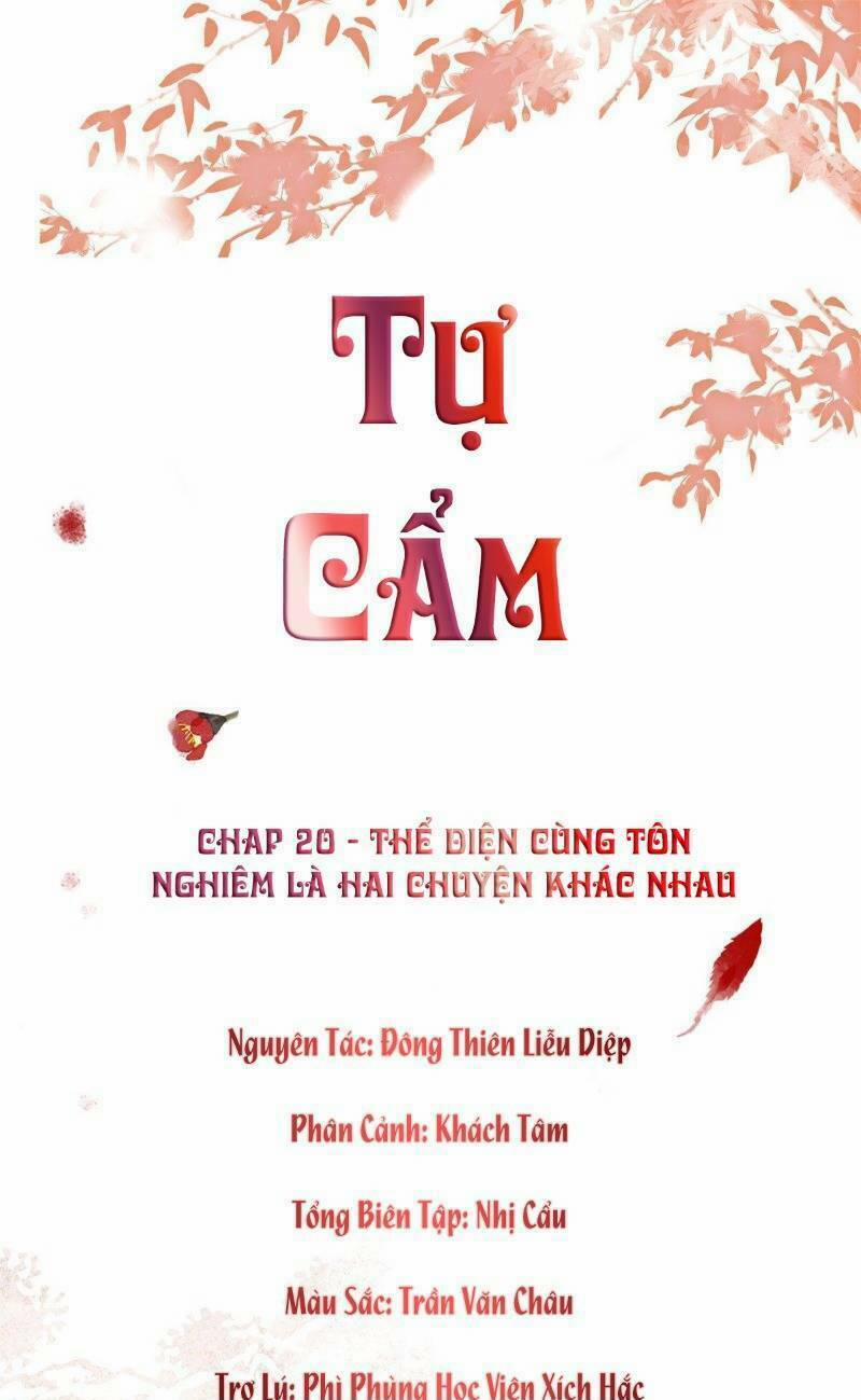 Tự Cẩm 20 trang 1