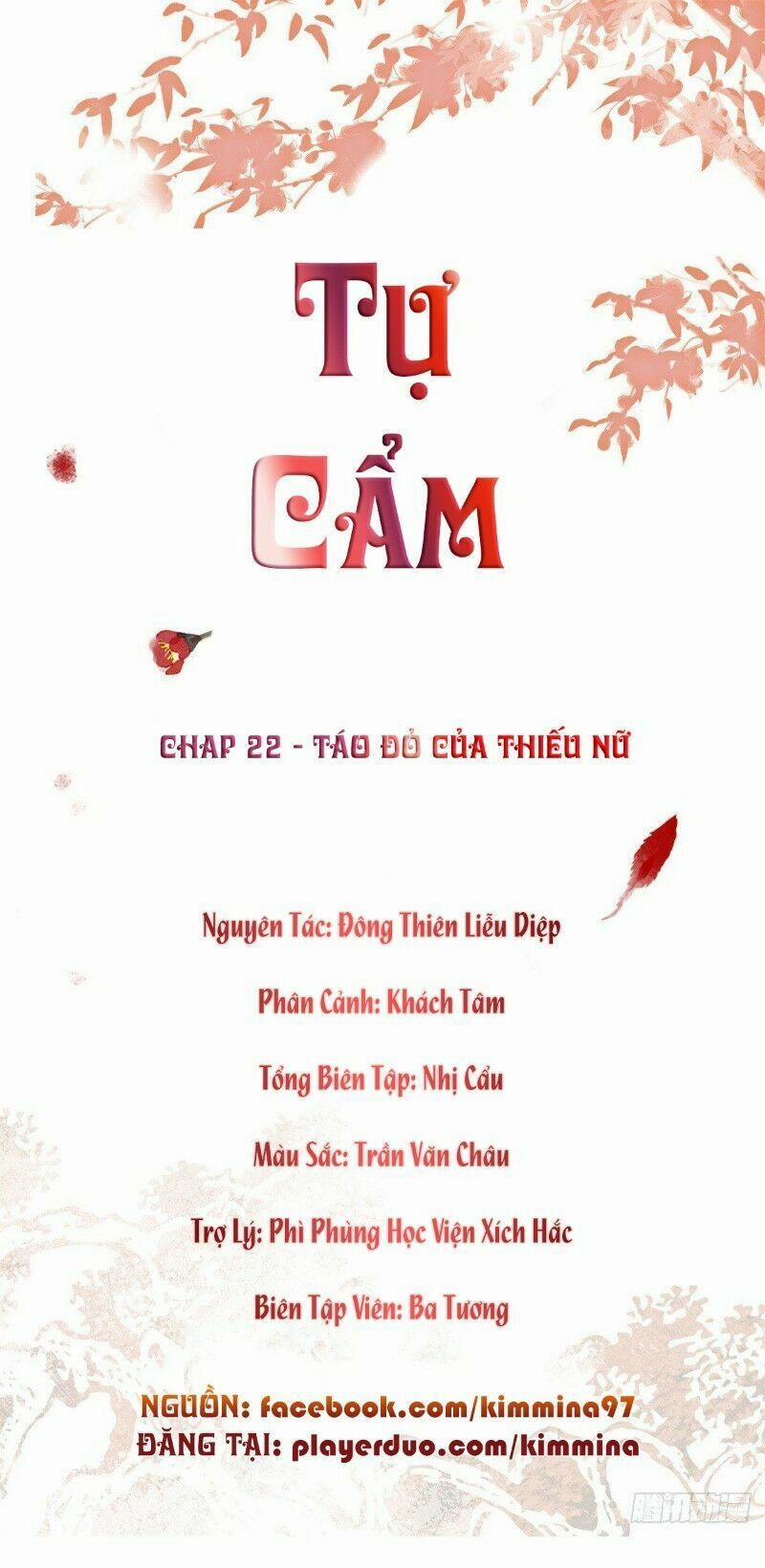 Tự Cẩm 22 trang 1