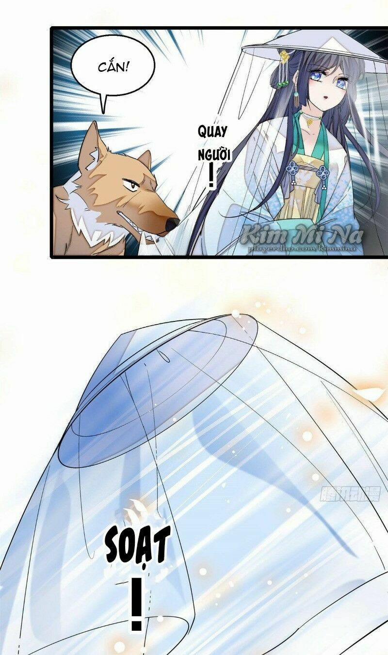 Tự Cẩm 24 trang 35