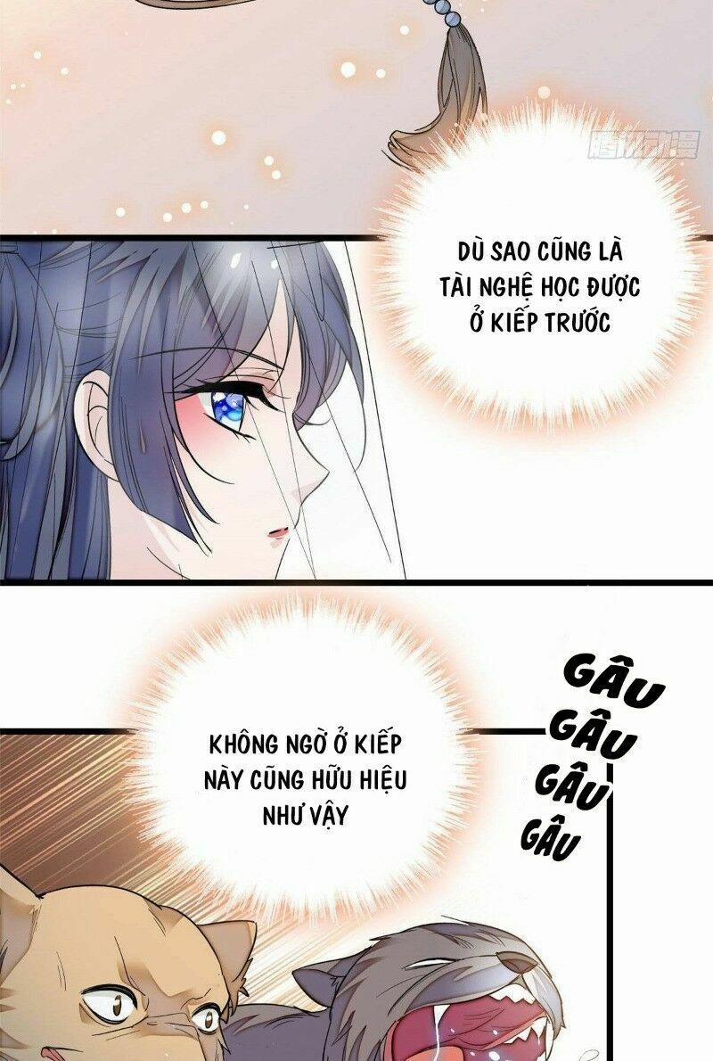 Tự Cẩm 24 trang 4