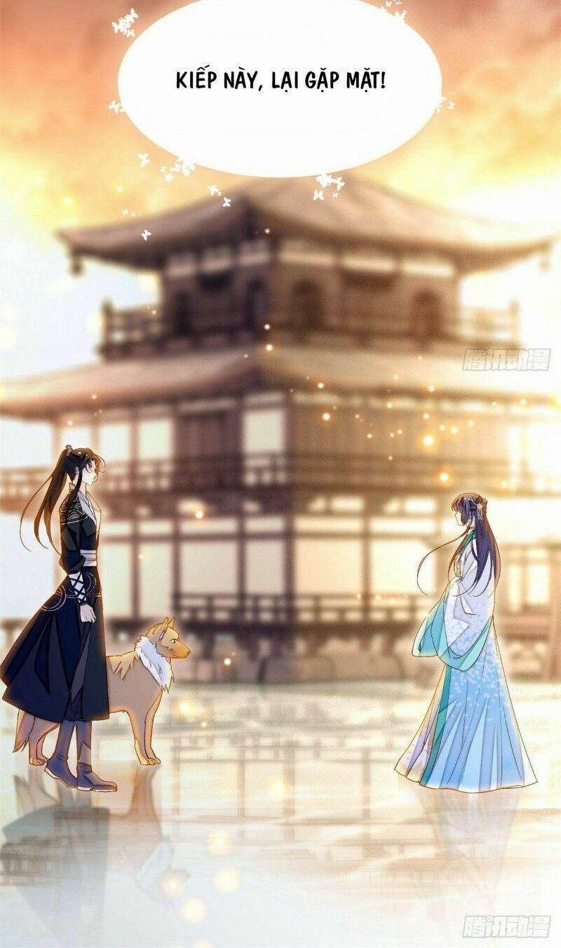 Tự Cẩm 24 trang 41