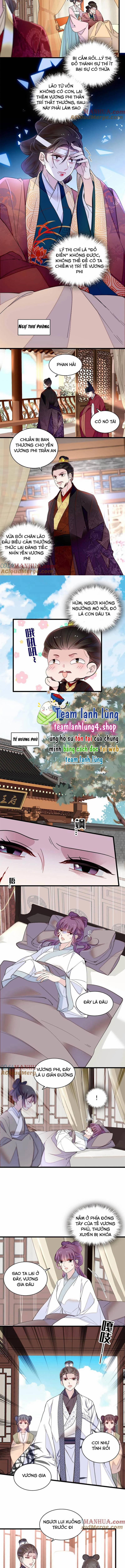 Tự Cẩm 274 trang 3