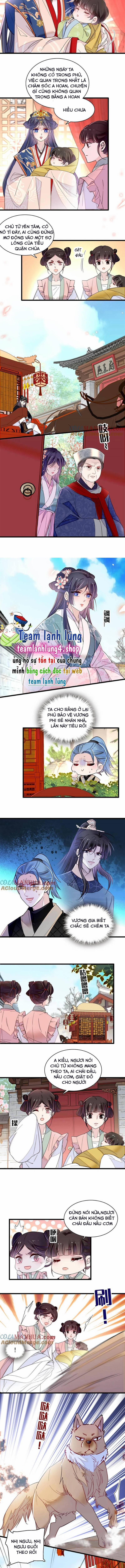 Tự Cẩm 279 trang 1