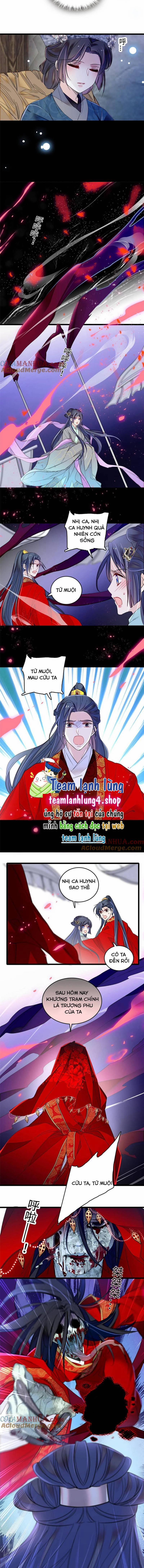 Tự Cẩm 282 trang 4