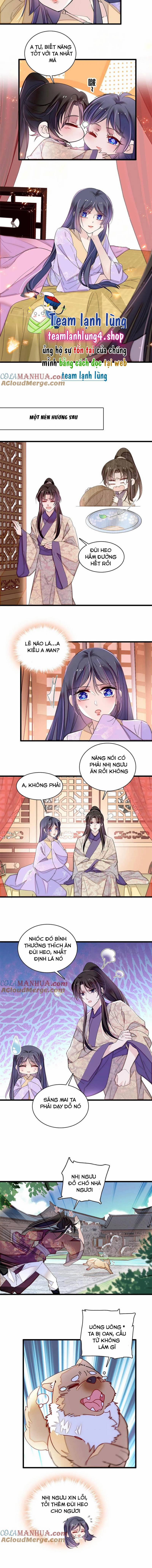 Tự Cẩm 306 trang 5