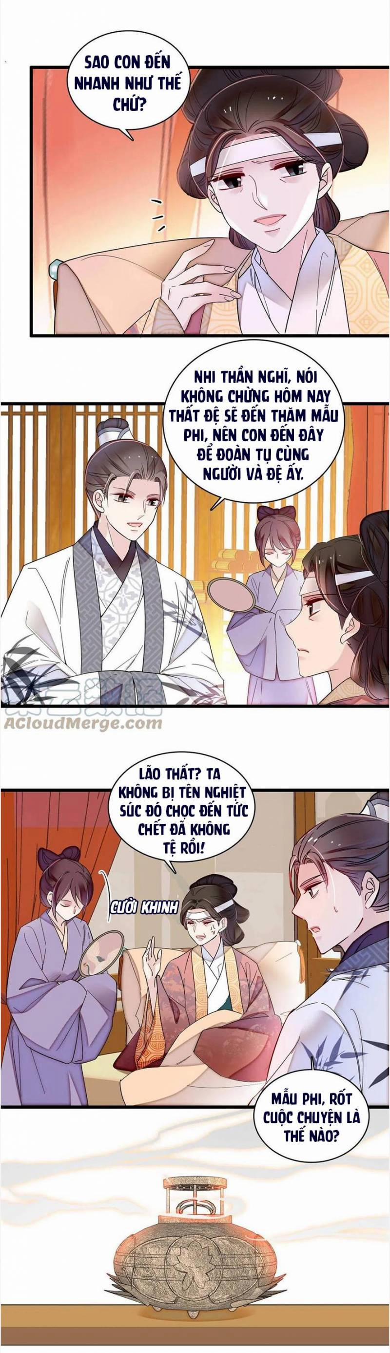 Tự Cẩm 310 trang 8