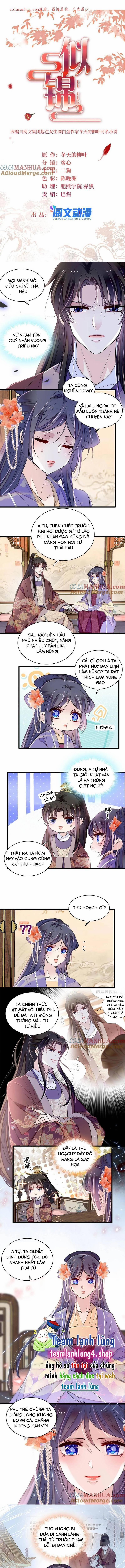 Tự Cẩm 313 trang 1