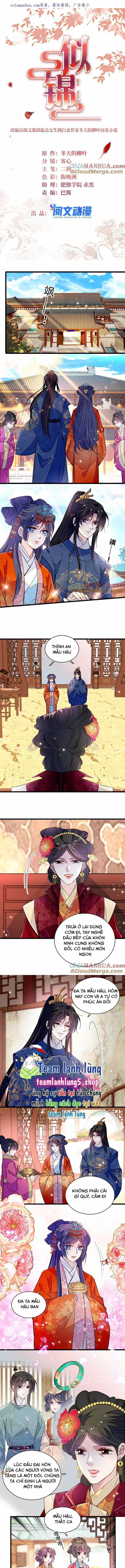 Tự Cẩm 323 trang 1