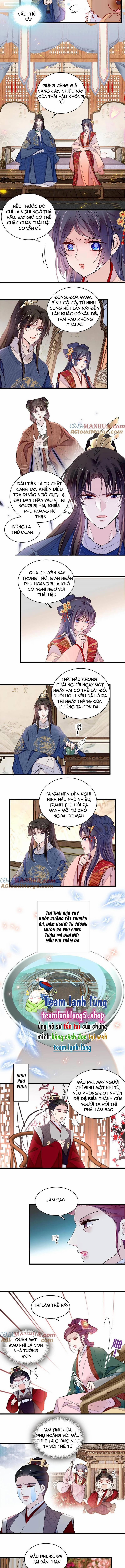 Tự Cẩm 325 trang 2