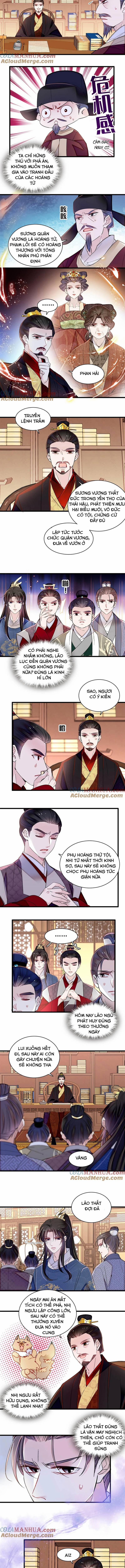 Tự Cẩm 335 trang 2