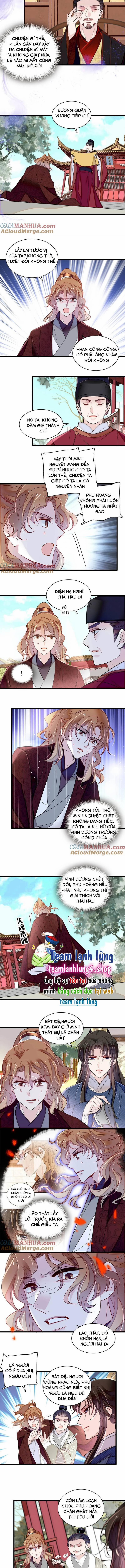 Tự Cẩm 335 trang 3